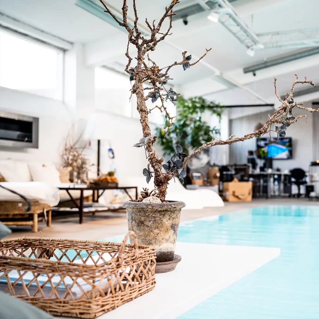 Showroom