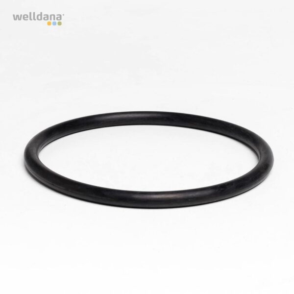 O-ring til pumpehus