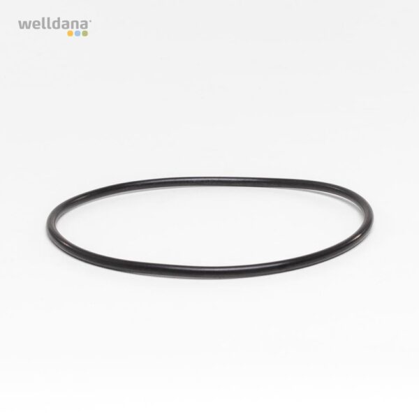 O-Ring f. Aksel  f. InverPro pumpe