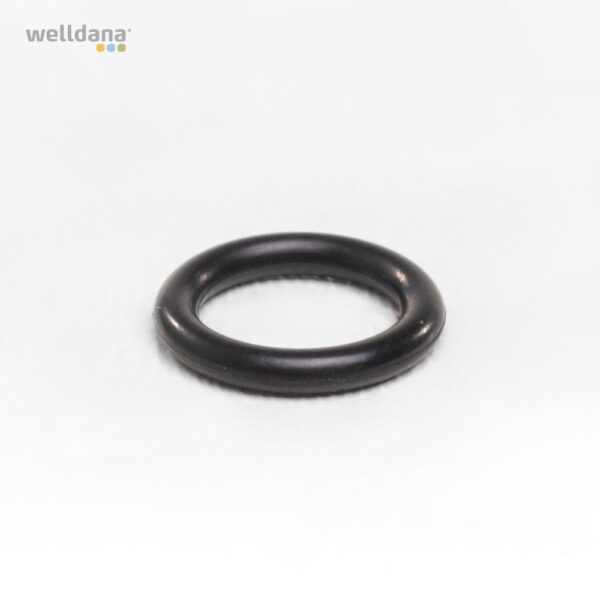 O-ring f. Motor flange f. InverPro pumpe