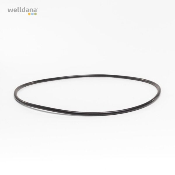 O-Ring mellem mortor og vådende