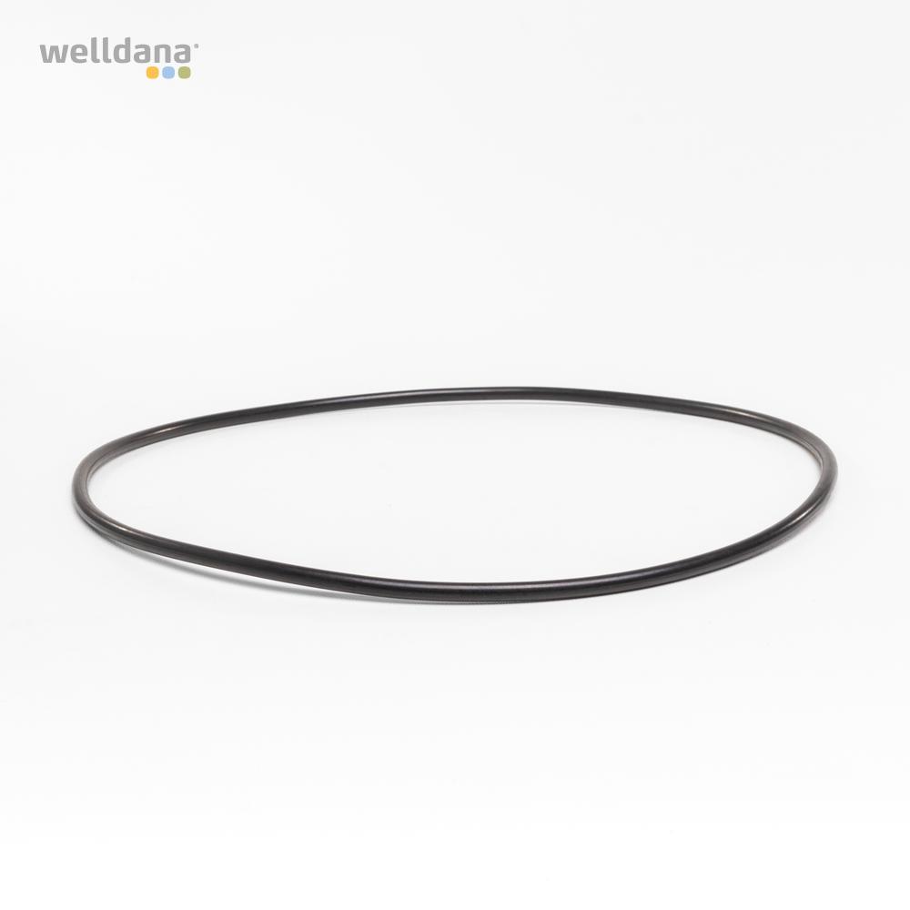 O-Ring mellem mortor og vådende