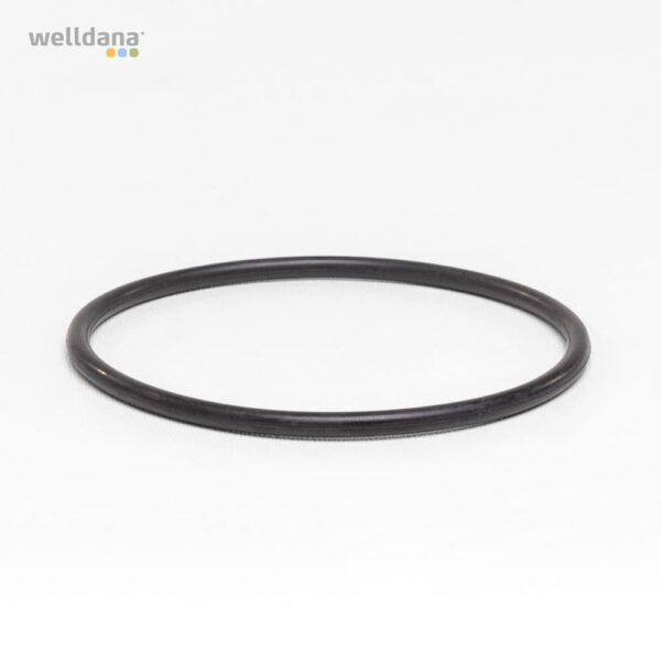 O-Ring  t. foran difusorhus