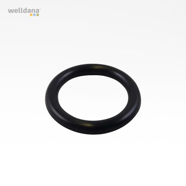 O-ring Badu Top 20 / 90 Eco VS