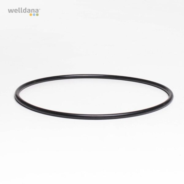 O-ring f. låg 2" topventil Welldana filter