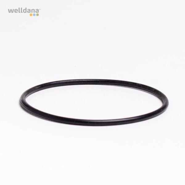 O- ring center pipe Ø800 filter