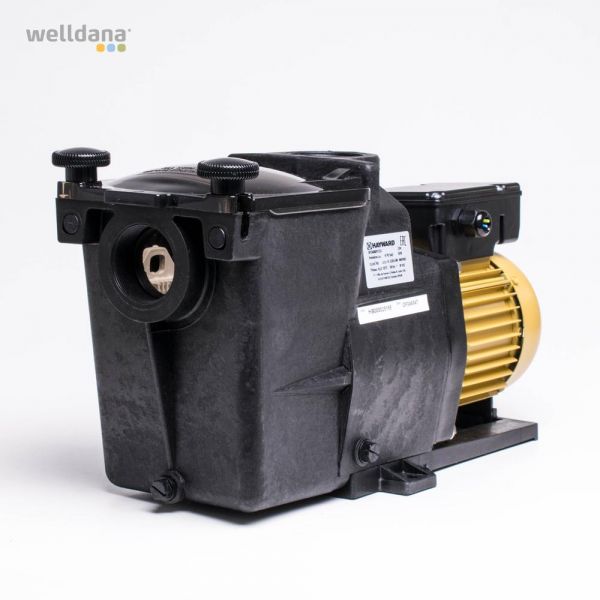 Hayward Super Pumpe Pro