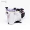 Ninfa pumper