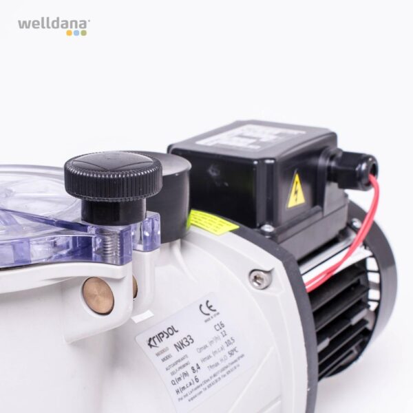 Ninfa pumper - Billede 2