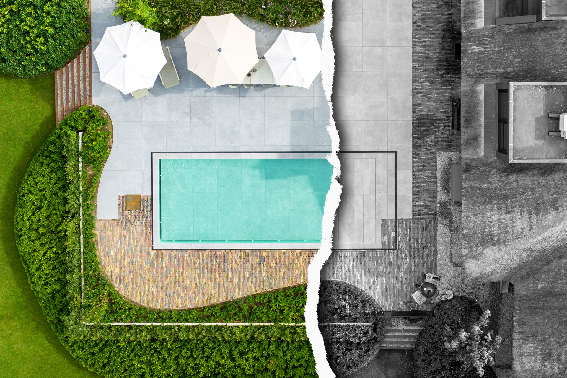 Niveko motion pool new