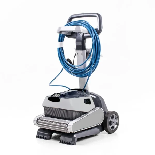33 001045 welldana 2 dolphin scoopdeluxe